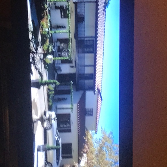 Meet your Posher, Kingsley - Picture 1 of 1